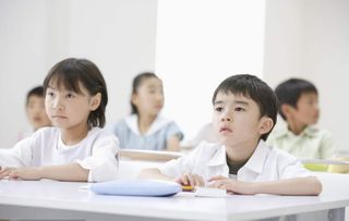 丹青教育加盟 加盟費(fèi) 招商代理?xiàng)l件 電話 中國(guó)教育招商網(wǎng)